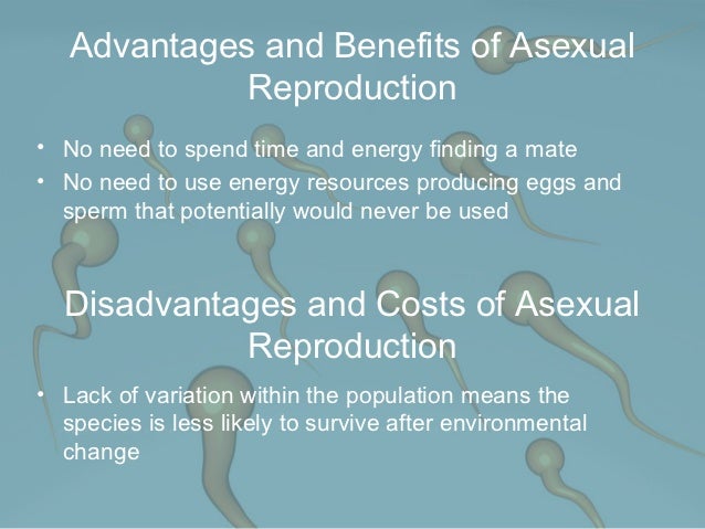 Costs benefits asexual reproduction Costs benefits asexual reproduction